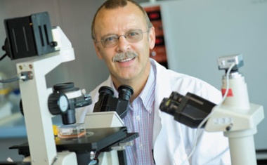 Nanotechnologie und Nanotoxikologie