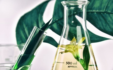 Roadmap für eine klimaneutrale Chemie