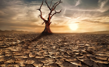 Auswirkungen des Klimawandels auf Unternehmen