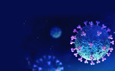 Covid-19: Merck kooperiert mit Mammoth Biosciences