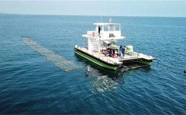 BASF Venture Capital und Aqua-Spark investieren in Sea6 Energy