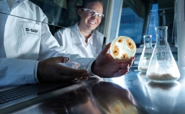BASF treibt Wandel zu mehr Nachhaltigkeit voran