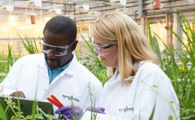 Syngenta Group erzielt Rekordumsatz