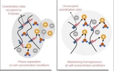 Flexible Natrium-Ionen-Akkus profitieren von einer Methylierung des Elektrolyten