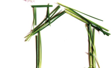 Betting on Polyurethanes