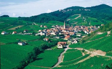 Alsace BioValley: The European Rendezvous