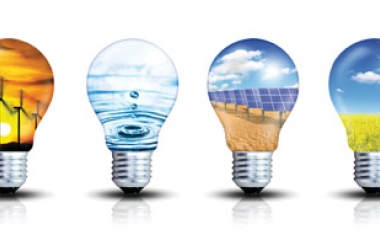 Sustainable Biomass Gaining Significance