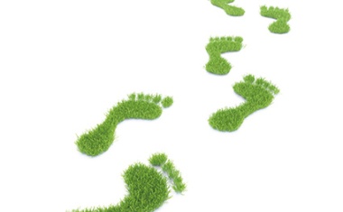 Sustainability through Supply Chain Optimization