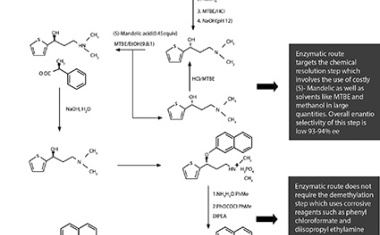 Duloxetine: Refining its Chemical Synthesis with Biocatalysis