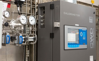 Demand-driven combustion gas supplies in chemical parks