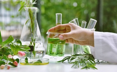 Sustainable Synthesis of Biochemicals