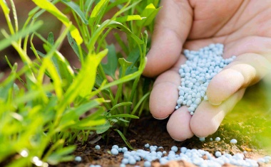 Azelis to Acquire Agrochemicals Distributor Agspec Australia