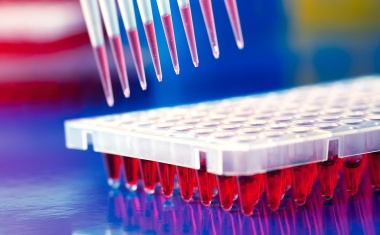 Ardena Expands European Bioanalytical Capabilities