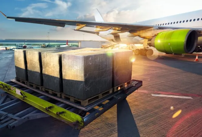 Transport Logistic: Ecocool Presents Packaging Solutions for Pharmaceutical Transports