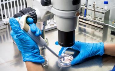 Cyprumed and MSD Enter Licensing Agreement for Oral Peptide Therapeutics