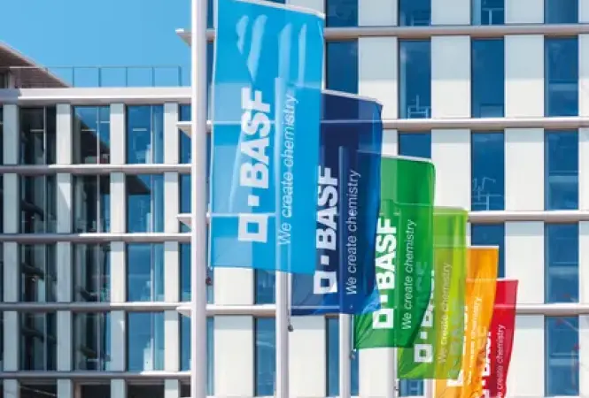 Carlyle Leads Potential BASF Coatings Deal