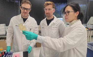 Symrise beteiligt sich am US-Biotechnologieunternehmen Cellibre