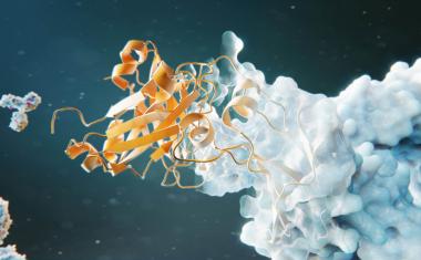 Navigating the Complexities of Early Drug Development