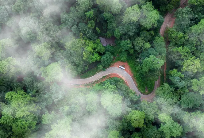 The Sustainable Pathway