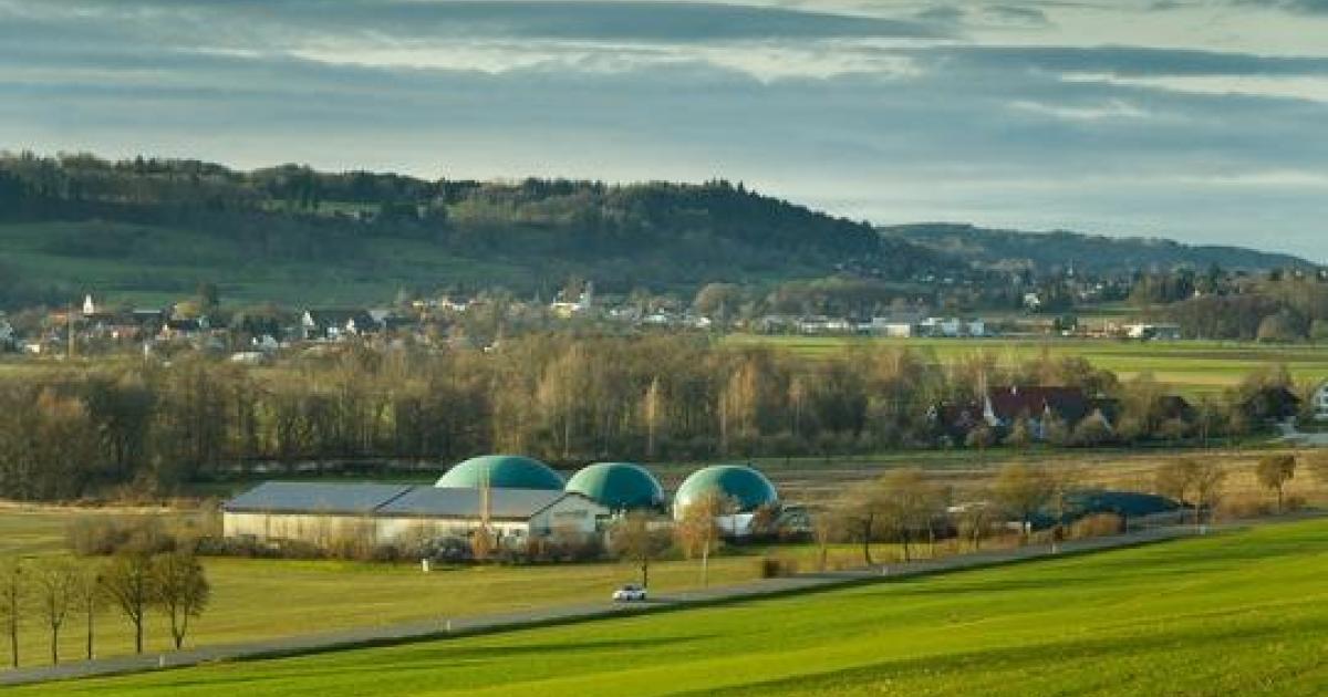 Pharma Provider Vetter Accelerates Switch to Renewable Energy