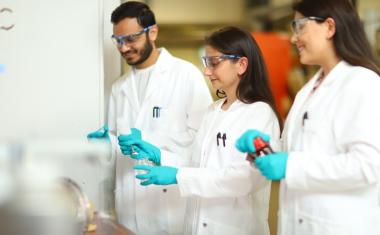 MechSyn stärkt nachhaltige Materialproduktion