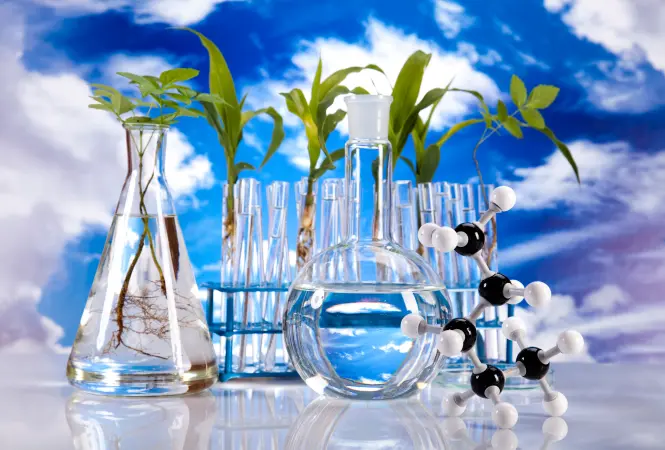 Zirkuläre Wirtschaft und Nachhaltigkeit