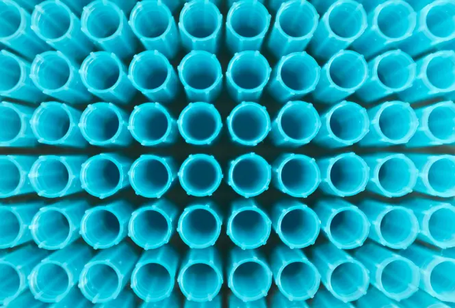 The Next Phase of Cell Line Development