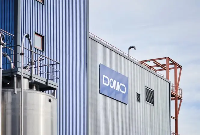 Leuna - Polyamid übernimmt DOMO Caproleuna
