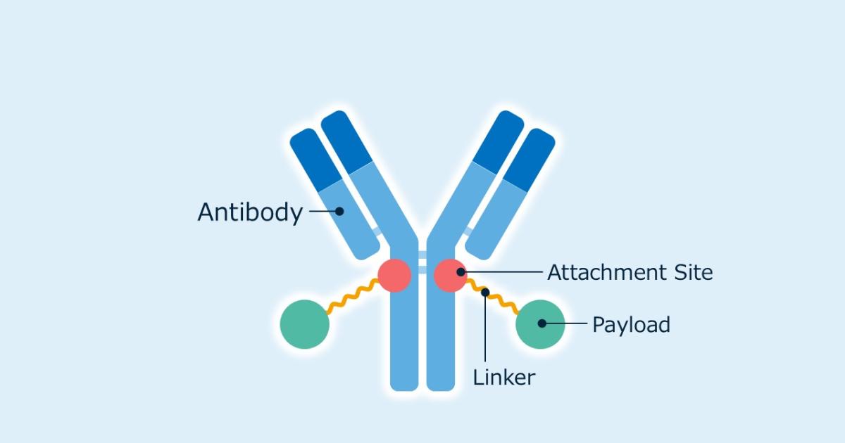 Asahi Kasei Life Science Licenses Novel ADC Technology From The Noguchi Institute