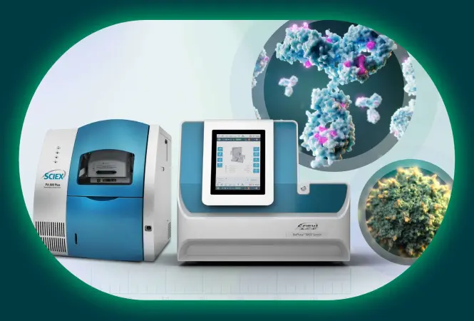 Capillary Electrophoresis in Biotherapeutic Development: Platform Methods, Fragment Workflows, and ADC Characterization