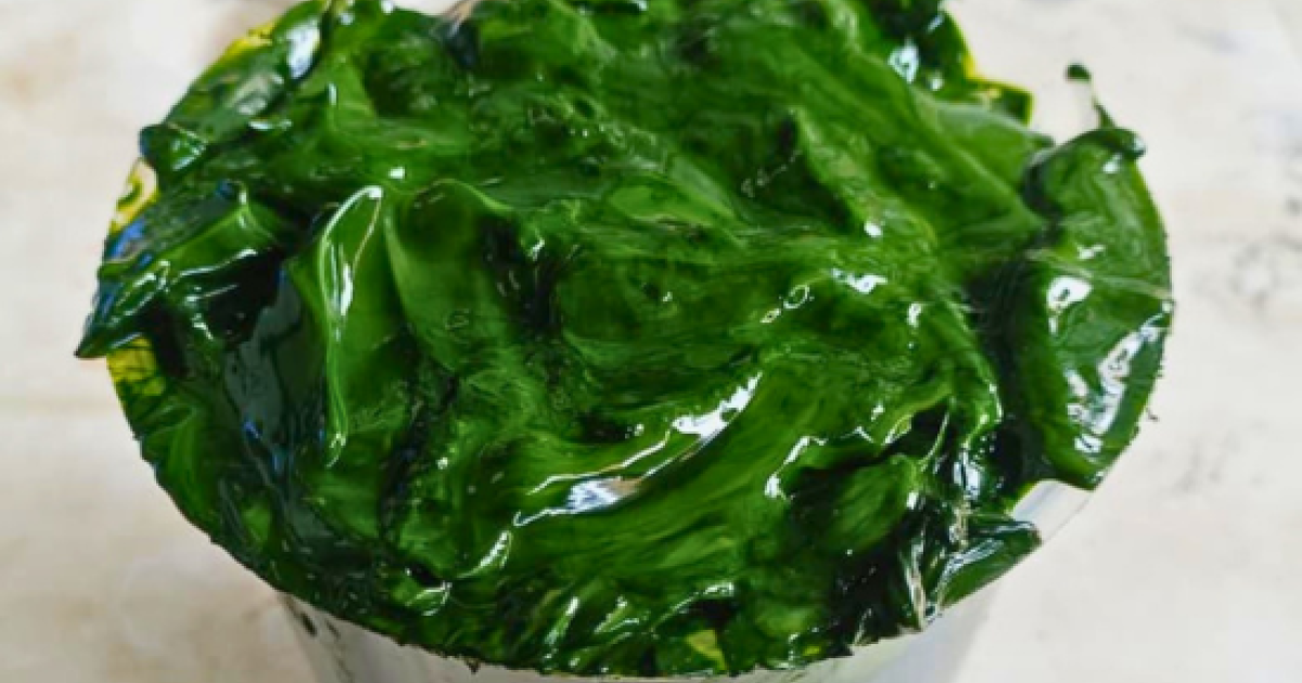 Environalgae – Sustainable Wastewater Treatment with Algae Solutions