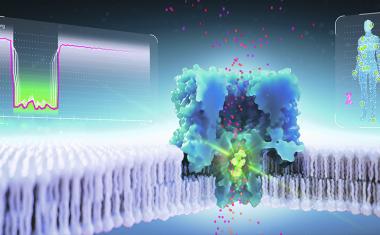 Analytik für komplexe Biomoleküle