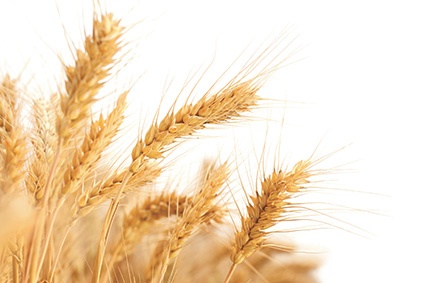 © Frank Seifert - Fotolia.com