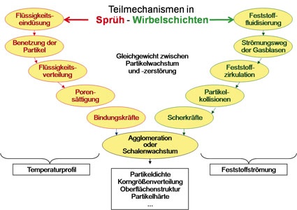 Abb. 3: Teilmechanismen bei der Partikelbildung (Glatt)