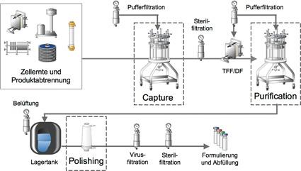 Abb. 1: Darstellung der Aufreinigung biotechnologisch gewonnener Proteine im...