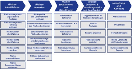 Abb. 2: Risikomanagement Prozessmatrix