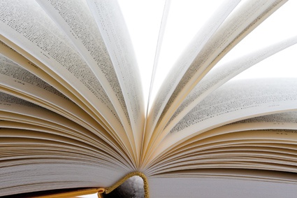 © Gina Sanders/Fotolia.com