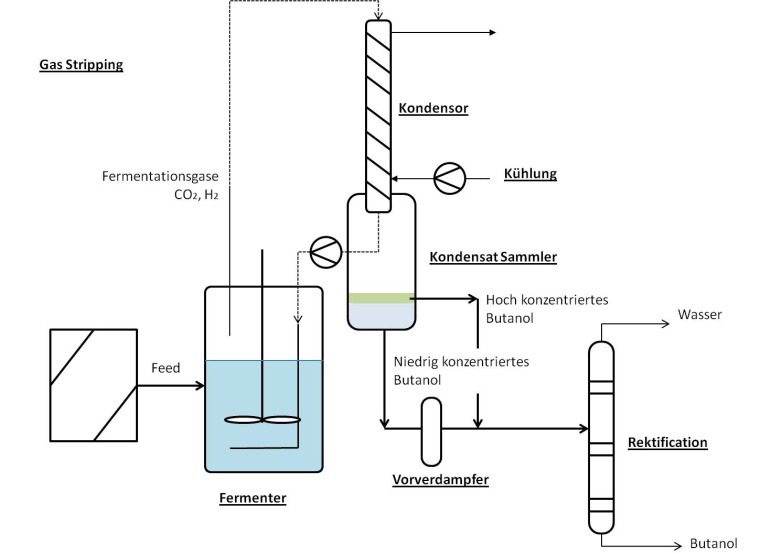 TUHarburg: Abb. 1: Schematische Darstellung des Bioreaktors mit integriertem...