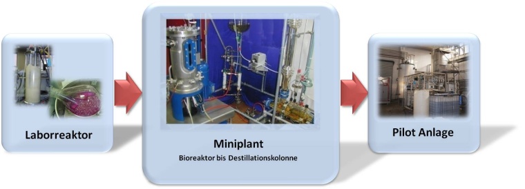 TUHarburg: Abb. 3: Prozess Scale-Up: Laborreaktor (2 l) und Miniplant Anlage...