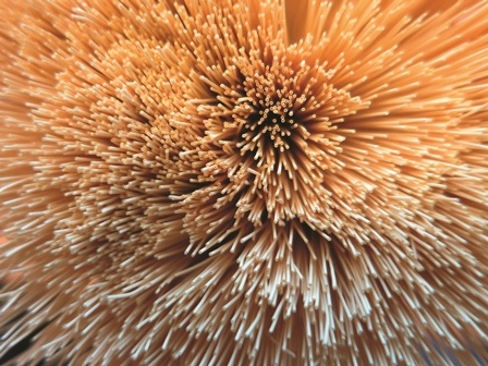 Ein Bündel Hohlfasermembranen, © Evonik