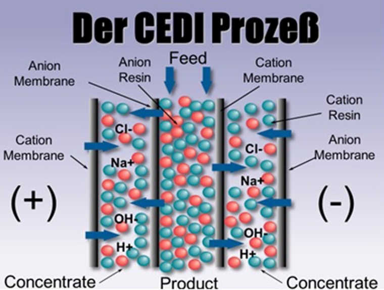 CEDI Prozeß