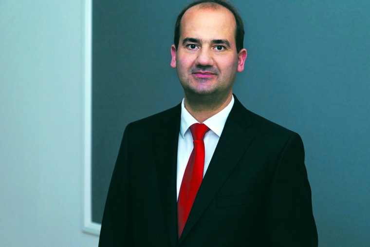 Matthias Lütke Entrup, Höveler Holzmann Consulting