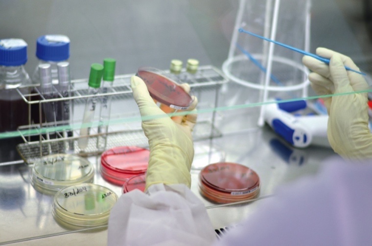 mikrobiologische Qualitätskontrolle © WeissKT