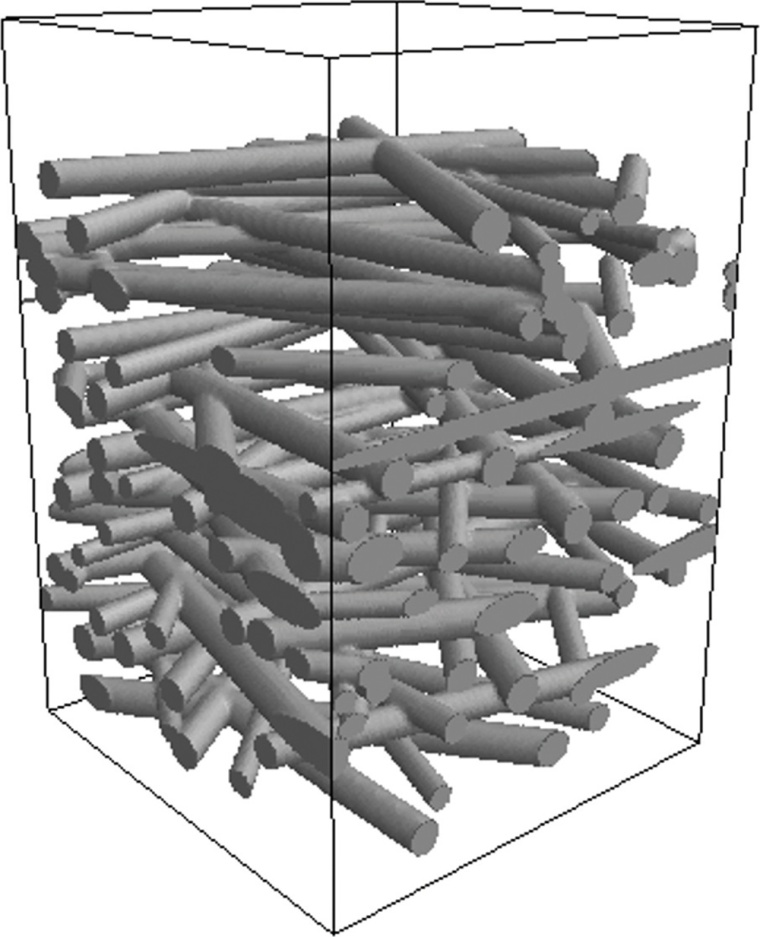 Simulation der Filtration mittels DNSlab (Direct Numerical Simulation...