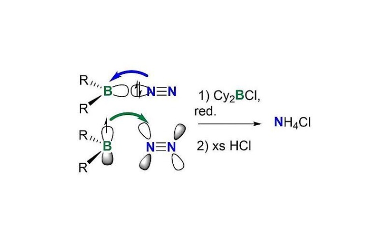 Grafik:Angewandte Chemie