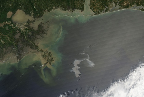An estimated 42,000 gallons of oil per day were leaking from an oil well in the...