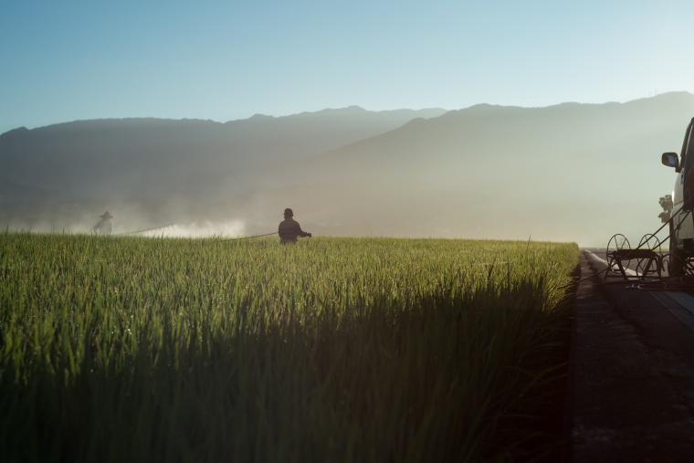 EP Defeats Immediate Glyphosate Ban Plan. Photo by Abby Chung from Pexels