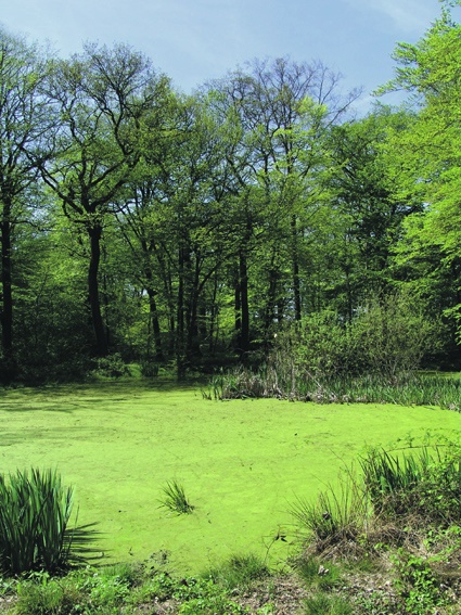 Wildlife habitat near DuPont’s Luxembourg site.
