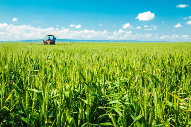 Photo: Solvay in Vietnamese Fertilizer Venture