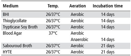 Table 1: Microbial cultures for testing the presence of bacteria and fungi...